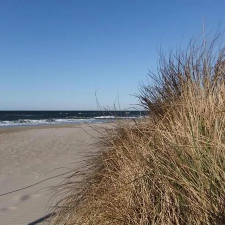 Idyllic In With Terrace