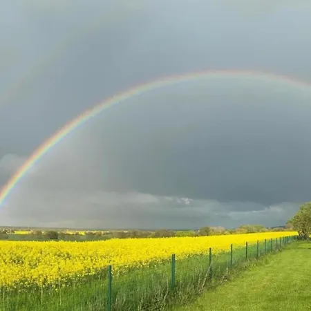Idyllic In With Terrace Semesterbostad Damshagen
