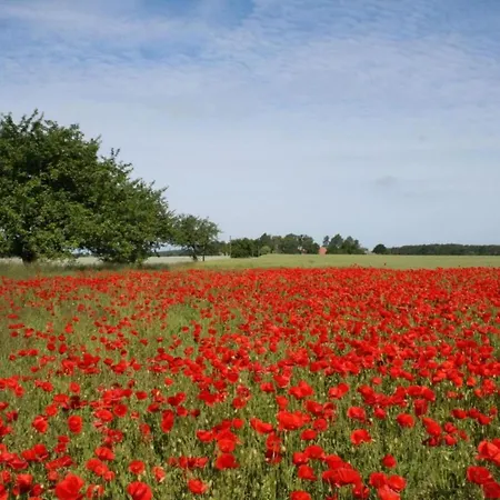 Idyllic In With Terrace *