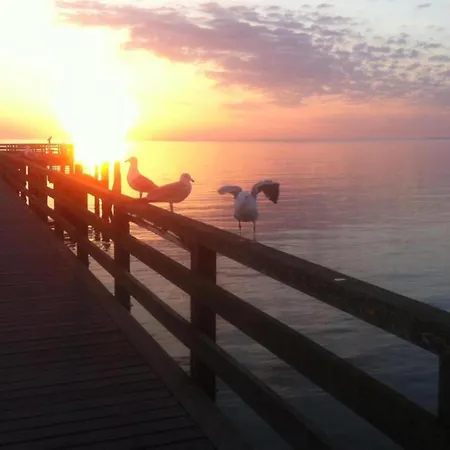 Idyllic In With Terrace Damshagen