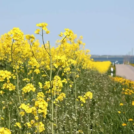 Idyllic In With Terrace Semesterbostad