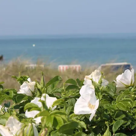 Semesterbostad Idyllic In With Terrace Damshagen