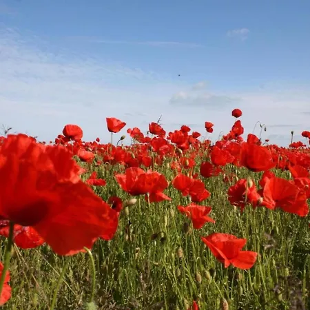 Idyllic In With Terrace * Damshagen