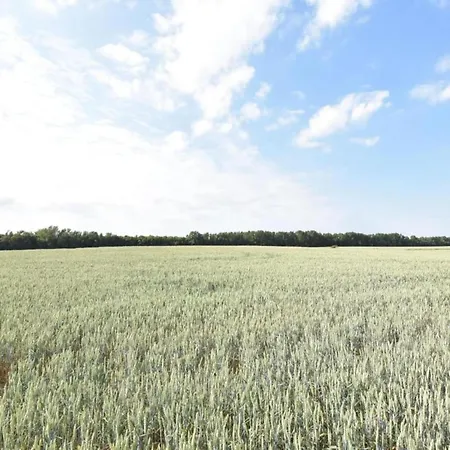 Idyllic In With Terrace Prázdninový dům
