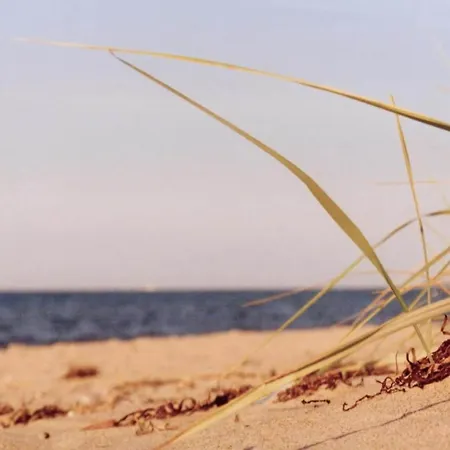 Prázdninový dům Idyllic In With Terrace Damshagen