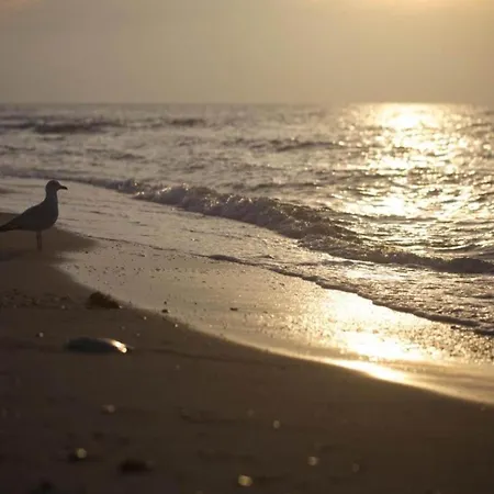 Prázdninový dům Idyllic In With Terrace